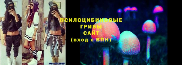 прущие грибы Баксан