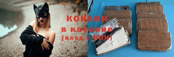 прущие грибы Баксан