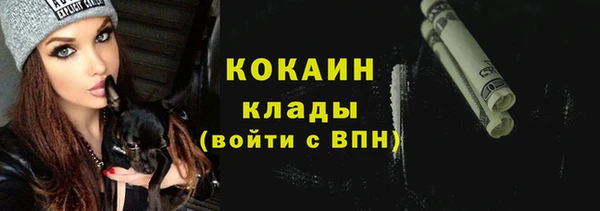 прущие грибы Баксан