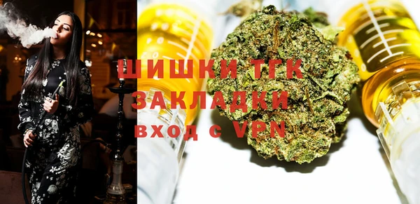 прущие грибы Баксан