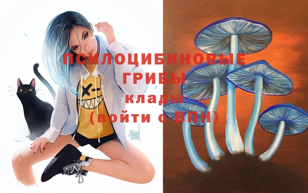 прущие грибы Баксан