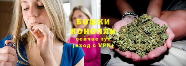 прущие грибы Баксан