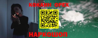 гидра Будённовск