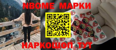 гидра Будённовск