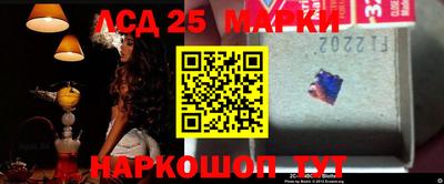 гидра Будённовск
