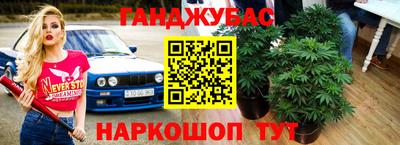 гидра Будённовск