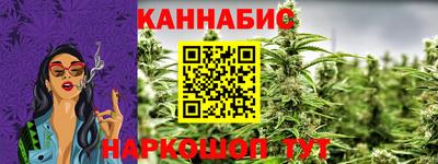 гидра Будённовск
