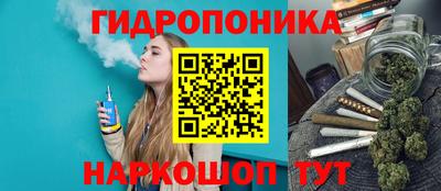 скорость Гусев