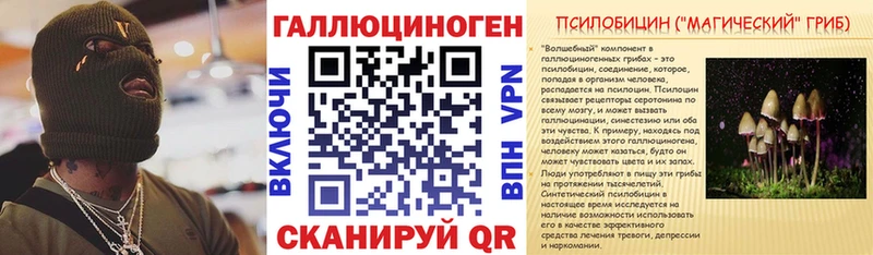 Галлюциногенные грибы Psilocybe  даркнет сайт  Горно-Алтайск 