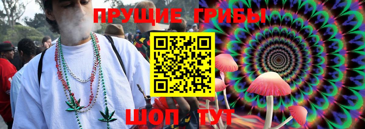 Псилоцибиновые грибы MAGIC MUSHROOMS Горно-Алтайск