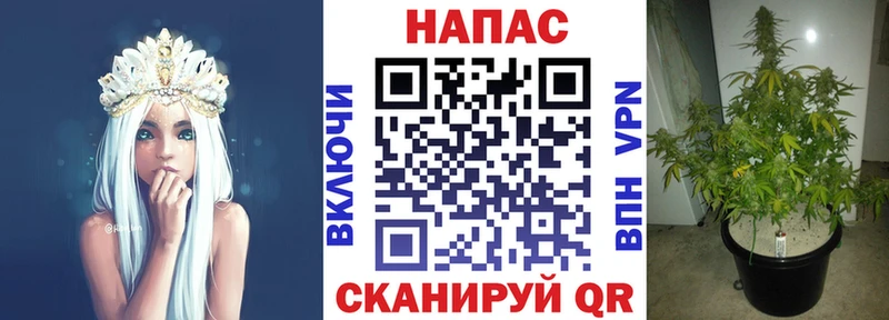 Конопля ГИДРОПОН  Горно-Алтайск 